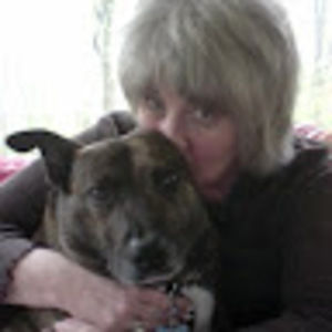 Meet your Posher, Caryn